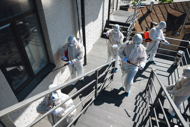 Best Commercial Mold Inspection  in Avenel, NJ
