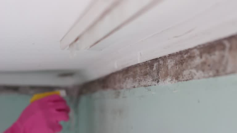 Best Indoor Air Quality Assessment  in Avenel, NJ